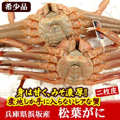 ふるさと納税 新温泉町 【数量限定】希少な松葉がに(ボイル冷凍)2枚　産地しか手に入らない脱皮直前のレアな松葉がに　ソフト蟹