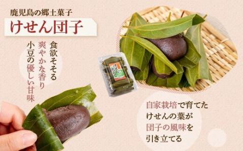 郷里の銘菓セット