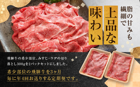 ちょっとリッチな飛騨牛（希少部位）約2.4kg【3月・6月・9月・12月発送】定期便 4回  | みすじ ウデ すき焼き しゃぶしゃぶ  希少部位 600g 和牛 国産牛 冷凍 飛騨高山 飛騨牛のこも