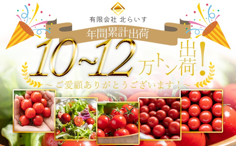 真っ赤に輝くフルーツトマト