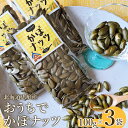 【ふるさと納税】北海道恵庭産 おうちでかぼナッツ 100g×3袋 南瓜 かぼちゃ カボチャ 種 かぼちゃの種 100g ナッツ かぼナッツ おつまみ スイーツ 北海道 恵庭市 恵庭 ふるさと納税【67006】