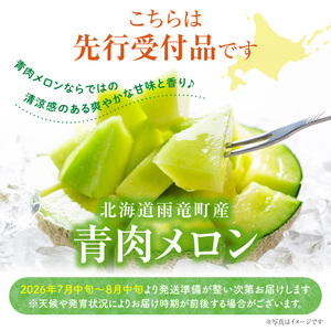 【令和7年産先行予約】北海道産 暑寒メロン 8～10玉 (8kg以上×2箱) 《2025年7月より発送予定》 青肉 果物 フルーツの王様 春 夏 秋 冬 御中元  フルーツ 生ハム パフェ ケーキ デ
