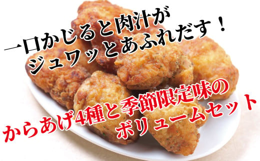 
            レンジで簡単！濃厚肉汁からあげ4種+季節限定味のボリュームセット 〈時短  鶏もも とりもも 鶏モモ 鶏むね 鶏ムネ とりむね 鶏肉 唐揚 唐揚げ から揚げ 冷凍食品 総菜 お総菜 人気 簡単調理 お弁当 おかず 夕食 〉
          