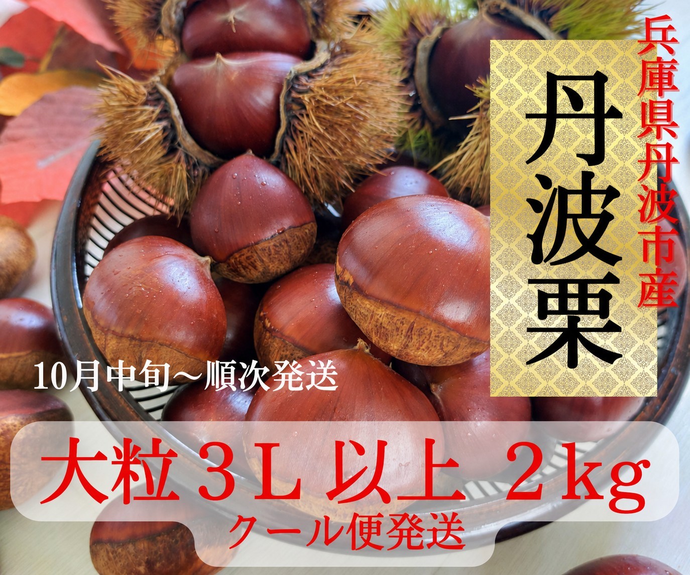 
                  丹波栗 3L以上 2kg 兵庫県丹波市産 秋の味覚 大粒 産地直送
                