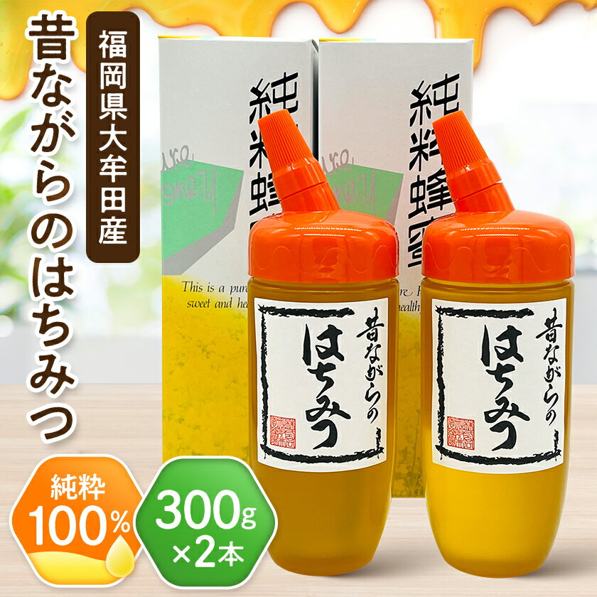 【ふるさと納税】坂井養蜂場　昔ながらの蜂蜜　300g　2本組【1093309】
