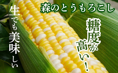 【テレビで紹介されました！】とうもろこし 先行予約 森のとうもろこし 12～14本 甘い 野菜 夏野菜 旬 夏 高糖度 産地直送 旬の野菜 季節の野菜 おやつ 行列のできる コーン 先行 予約 202
