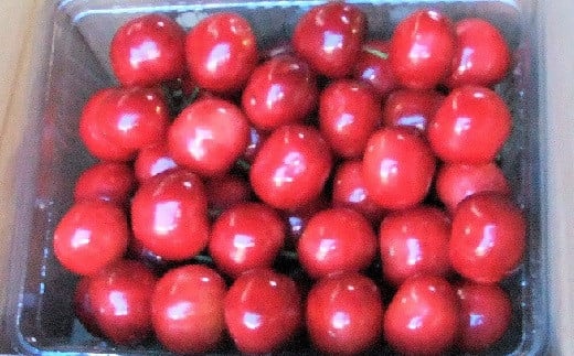 
            温室さくらんぼ（佐藤錦）５００ｇ　２Ｌサイズ　0112-2502
          