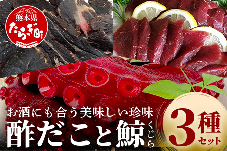 酢だこ 鯨南蛮漬け 塩鯨セット 計 1.5kg ＜酢だこ500g 鯨南蛮漬け500g 塩鯨500g＞ 冷凍 池田屋 多良木 鯨 くじら 003-0200