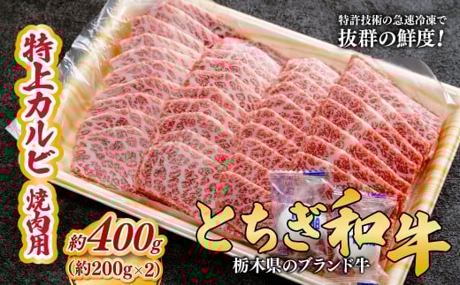 とちぎ和牛の特上カルビ 焼肉用 400g（200g×2）【栃木県共通返礼品】 |  牛肉 肉 お肉 カルビ 特上 バラ肉 焼肉 産地直送 国産 国産牛 和牛 赤身 霜降り 希少 旨味 旨み 熟成 急速冷凍 テクニカン テクニカン社 スキンパック 真空パック 真空包装 コトラミートカルチャ 栃木県 茂木町