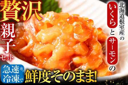 【北海道根室産】[鮭匠ふじい]いくら・サーモン親子丼の具 D-42044