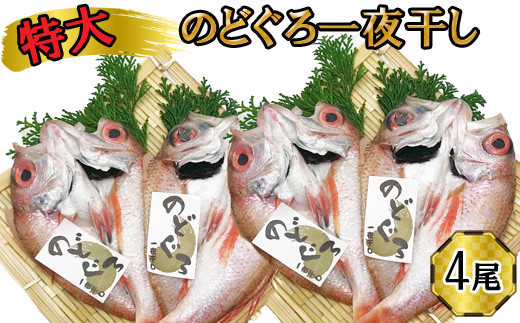 特大 のどぐろ　一夜干し2尾×2箱セット 322032_DQ019