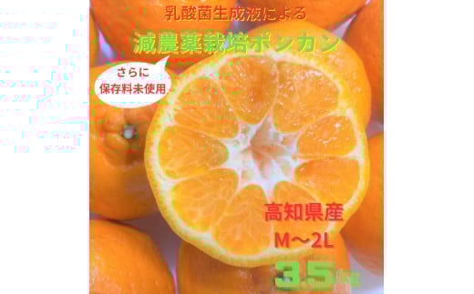 【令和8年1月下旬より発送】＜訳あり＞ぽんかん 3.5kg 高糖度 みかん 柑橘 甘い ジューシー 完熟 フルーツ 果物 ポンカン ビタミンC 旬 M～2Lサイズ 減農薬 乳酸菌生成液 産直 季節限定 家庭用【R01342】