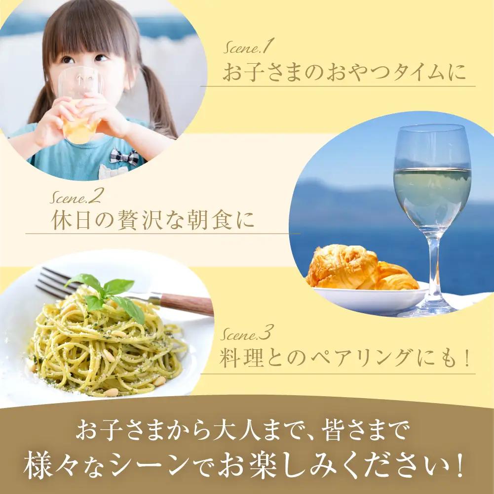 輪島ワイン用ブドウ100%！紅白ジュースセット wa011　ブドウ