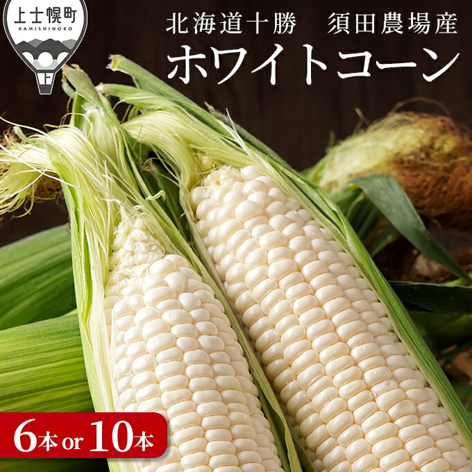 【ふるさと納税】北海道産ホワイトコーン 6本 or 10本 上士幌町須田農場 白いスイートコーン とうもろこし 野菜 冷蔵便 レビューキャンペーン対象品 ◆2025年08月配送予定 ※オンライン申請対応