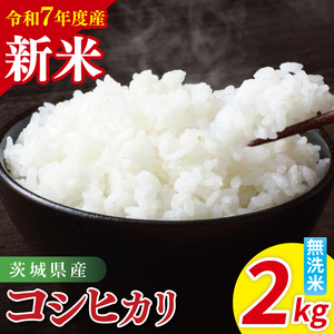 【先行予約】令和7年産 茨城県産コシヒカリ　無洗米　2kg【お米 米 こしひかり ごはん 茨城県】（85-13）