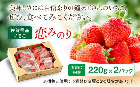 ＜先行予約！自分へのご褒美にも＞ 佐賀県産いちご 恋みのり 220g×2パック / イチゴ 苺 フルーツ 果物 / 佐賀県/鐘ヶ江農園[41ASBK001]