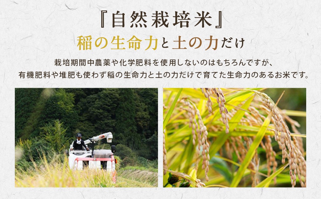 【令和7年産】さとうファームの自然栽培米（白米5kg）