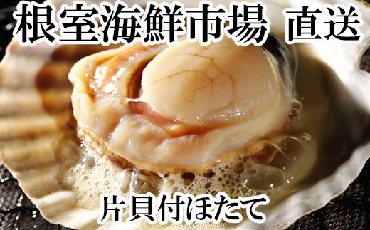 G-14044 片貝ほたて10枚