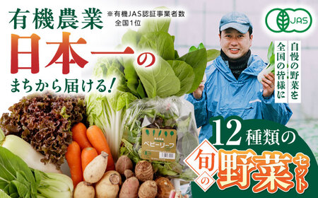 有機野菜 オーガニック 野菜 12種セット 野菜詰め合わせ 熊本県産有機野菜 山都町産有機野菜 産地直送 高原野菜 新鮮有機野菜 採れたて有機野菜 旬 有機野菜セット 有機野菜食べ比べ 九州産有機野菜 有機野菜 オーガニック 熊本 野菜 野菜セット 旬の野菜 産地直送 野菜  こだわり野菜 野菜詰め合わせ 野菜 オーガニック野菜 有機農法野菜  【株式会社 肥後やまと】[YAF001]