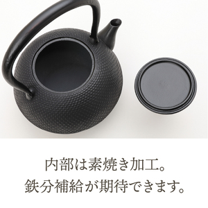 南部鉄器　鉄瓶　寒梅あられ鉄瓶　～ARARE～　1.2L [BE001]