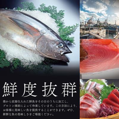 ふるさと納税 越前市 越前握り6貫(1パック)×2　合計12貫 |  | 01