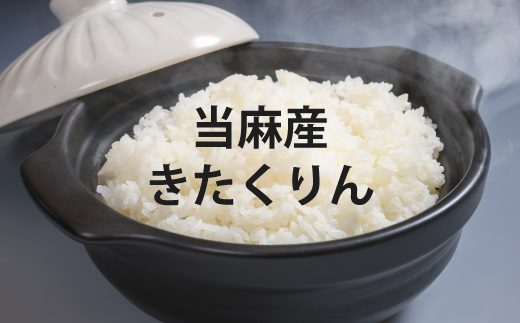 【令和7年産】YES!Clean 金王冠きたくりん 当麻産 無洗米 5kg 北海道米 北海道 米【AU-001】