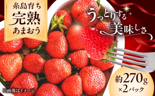 【先行受付】福岡県 糸島市産 完熟 あまおう いちご （約270g×2パック）【2027年3月以降順次発送】  糸島市 / mhshops / 苺 イチゴ フルーツ 果物 冷蔵 苺 イチゴ 新鮮 旬 小分け 甘い スイーツ デザート 糸島産 大粒  産地直送 お取り寄せ あまおう アマオウ [AKQ001]