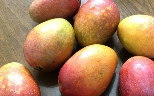 【2025年発送】MKファームの訳ありアップルマンゴー約1kg【訳あり】- 訳アリ 沖縄県産 産地直送 南国フルーツ 旬の味覚 アップルマンゴー オススメ 沖縄県 八重瀬町