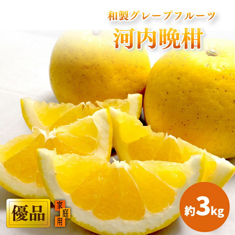 【ふるさと納税】 【2026年4月上旬頃から発送】 河内晩柑 優品 家庭用 約3kg｜ みしょうゴールド 美生柑 愛南ゴールド ジューシーオレンジ 夏文旦 木成り熟成 爽やか みかん ミカン 蜜柑 甘い 期間 愛媛県産 甘み 香り 柑橘 松山市 贈答 新鮮 ココオ Koko'o