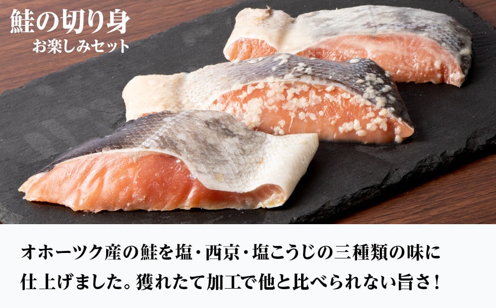『お食事シリーズA』鮭（塩・西京・塩こうじ）・イクラ・鉄砲汁のセット！【24008】