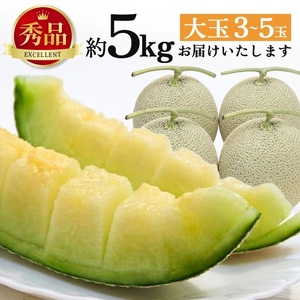 SB0918　庄内砂丘の旬夏　「浜王メロン」　約5kg(青肉/3～5玉入) 