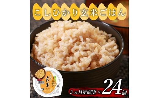 定期便 3回 こしひかり 玄米ごはんパック 160g 24個 玄米 米 ごはん ご飯 こめ パックライス パックご飯 パックごはん ご飯パック ごはんパック パック ライス 備蓄 保存 非常 防災 電
