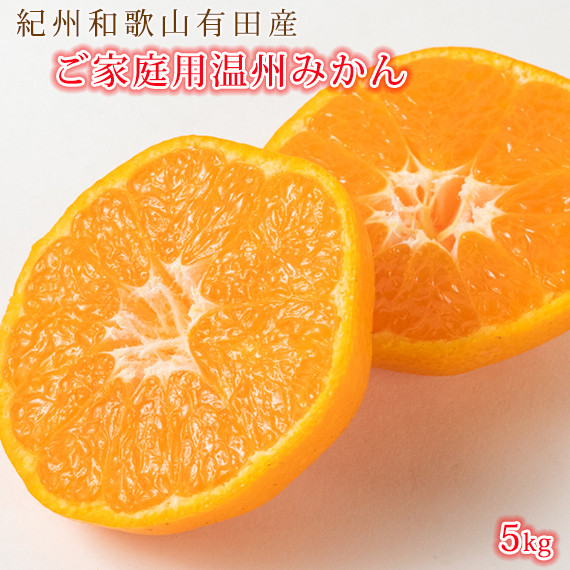 
【ご家庭用訳アリ】紀州有田産濃厚完熟温州みかん　5kg【先行予約】【UT13】
