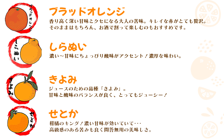 ＜一歩会 ジュエリーボックス ジュース飲み比べセット 720ml×12本入り（果汁100%ストレートジュース）＞『令和8年5月より順次出荷予定』愛媛 みかん ミカン 柑橘 果物 フルーツ 特産品 渡江