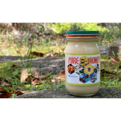 ふるさと納税 田辺市 PURE HONEY 純粋はちみつ　600g　【nts006-1】 |  | 01