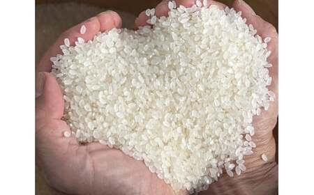 【先行予約】 令和7年産 新米 たかたのゆめ 白米 10kg まーちゃんファーム 【 オリジナル ブランド米 冷めてもおいしい お弁当 おにぎり ギフト 】 10月下旬頃より順次発送予定 RT2577