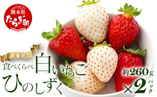 【先行予約】熊本県産 いちご【ひのしずく・白いちご】食べ比べセット 約260g×2パック   ≪ 苺 イチゴ 数量限定 坂下農園 イチゴ 2パック 苺 フルーツ 果物 春 名産 熊本 多良木町 ビタミン 旬 先行予約 ≫103-0007