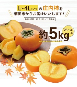 SA2084　庄内柿　約5kg(25～31玉入) L～4Lサイズ