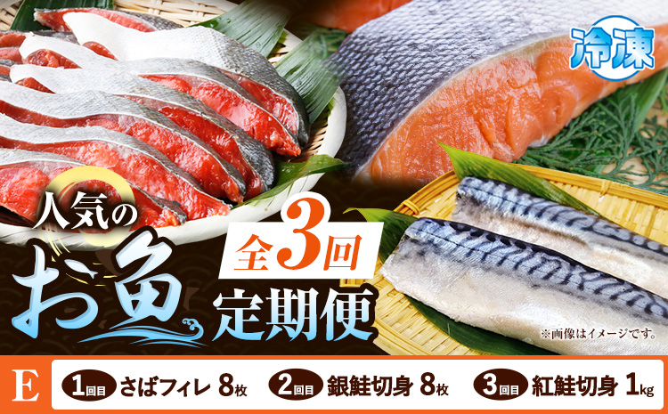 【定期便 全3回】 E サバフィレ 8枚 銀鮭切身 8枚 紅鮭切身 1kg 株式会社魚鶴商店《お申し込み月の翌月より出荷開始》和歌山県 日高町 鮭 さけ 紅さけ 切り身 さば 塩さば 焼き魚 焼くだけ 簡単 魚 さかな---wsh_uotteie_24_35000_mo3num1---