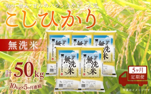 ＜5か月定期便＞ 千葉県産「コシヒカリ」無洗米 10kg×5か月連続 計50kg A079