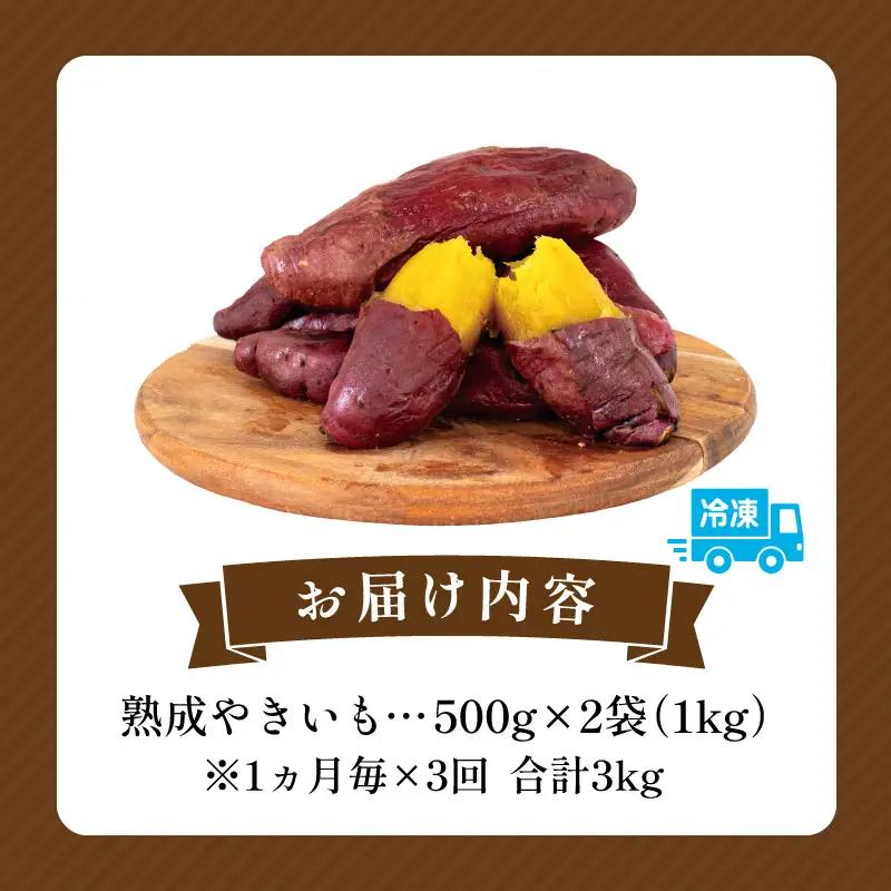 【定期便・全3回】熟成やきいも 熟成 焼き芋 さつまいも 1kg