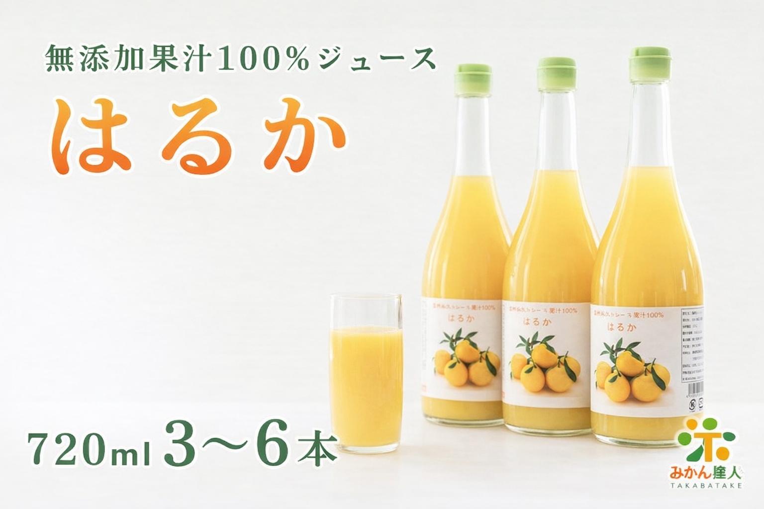 
                  【えらべる内容量】無添加 はるか ジュース 720ml 3本 or 6本 ストレート 果汁 100% 柑橘 かんきつ 果物 くだもの 国産 こくさん フルーツ おやつ デザート 飲料 果汁 搾汁 厳選 瓶 瓶ジュース アレンジ アイス 減農薬 よりすぐり 人気 ランキング 春 夏 秋 冬 子供 大人 蜜柑 みかん ビタミン はるかジュース 美味しい みかん職人武田屋 愛媛県 愛南町
                