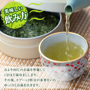 B05 上級煎茶「霧島山麓湧水茶」(5袋・1袋100g) 国産 九州産 やぶきた おくみどり さえみどり 茶さじ付き 茶葉 お茶 おちゃ 日本茶 一番茶 新茶 真空パック ギフト 贈答 プレゼント【野