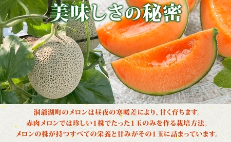 TOYAKOメロン 2玉 計4.8kg～5.4kg 2026年9月下旬～10月中旬お届け 先行予約 北海道産 メロン レッド113 糖度14度以上 赤肉 フルーツ 果物 旬 デザート 国産 贈り物 常