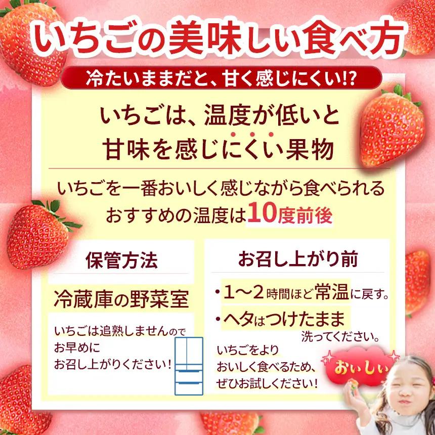 【定期便2回】ベリーツ × 2パック ( 約500g ) ( 1パック/250g前後 ) | いちご ベリー フルーツ 果物 産地直送 大分県 中津市