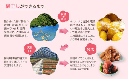 紀州南高梅 紫蘇梅 350g×2 塩分15％ [定期便 毎月発送・全3回]