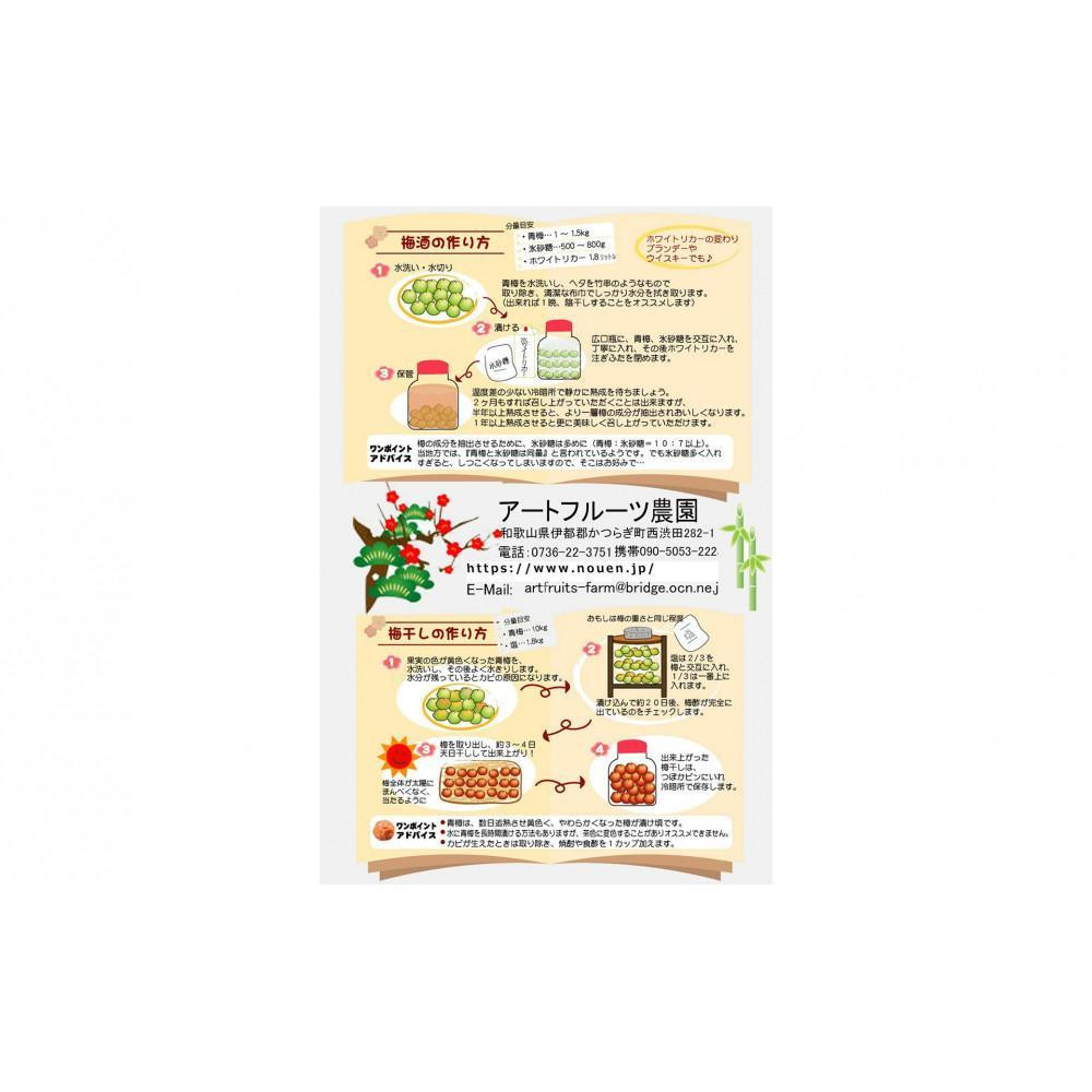 ［梅干・梅酒用］大玉4Lサイズ約10kg熟南高 生梅 ＜2027年6月上旬～7月中旬発送予定＞［ART22］　XL27_イメージ3