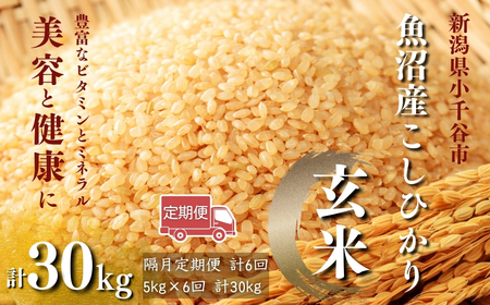 【 令和7年産 先行予約 】 魚沼産コシヒカリ 玄米選別品 5kg×6回（計30kg） 定期便 隔月お届け