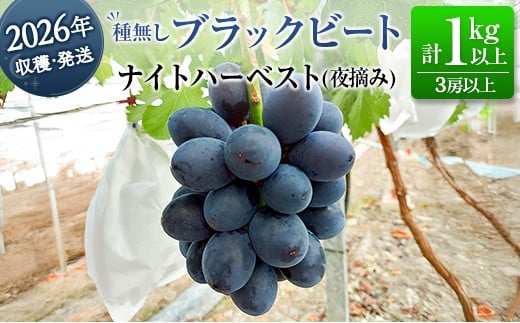 
            ［ご自宅・ご家庭用］ぶどう 2026年収穫・発送 ナイトハーベスト（夜摘み）種なし『ブラックビート』計1kg以上 3房以上 希少 人気 ブドウ フルーツ 果物【B682】
          