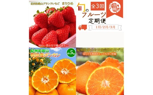 【発送月固定定期便】紀州和歌山産旬のフルーツセット(いちご2P・ポンカン・紀州デコ約3kg)全3回 【tkb451】
